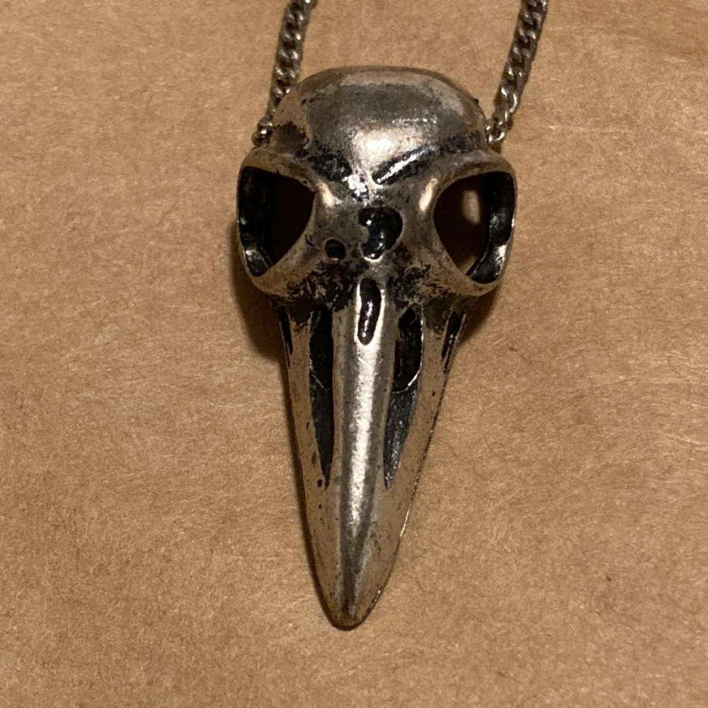 Sold—Bird skull Silver necklace - Picture 6 of 7